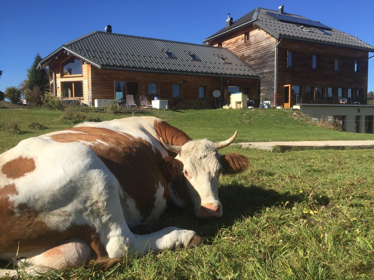La Maison Des Inuits Hotel Septmoncel-Les-Molunes Eksteriør billede